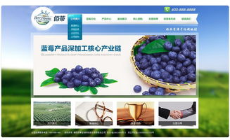 襄陽佰蒂生物科技 驅(qū)動現(xiàn)代農(nóng)業(yè)的綠色引擎